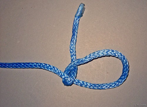 knot1