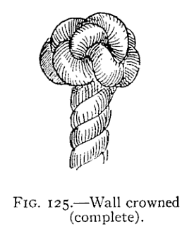 Illustration: FIG. 125.—Wall crowned (complete).