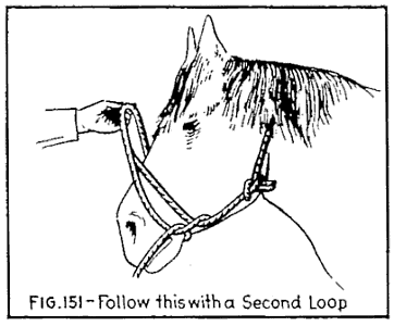 Illustration: FIG. 151—Follow this with a Second Loop.