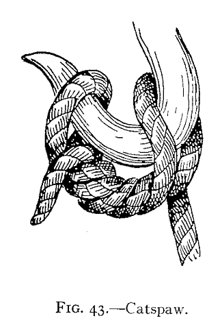 Illustration: Fig. 43.—Catspaw.