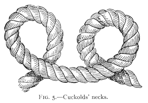 Illustration: FIG. 5.—Cuckolds' necks.