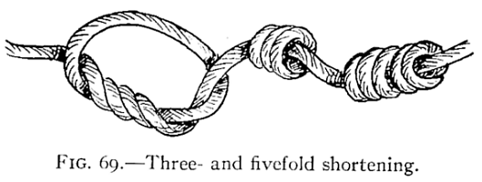 Illustration: FIG. 69.—Three- and fivefold shortening.