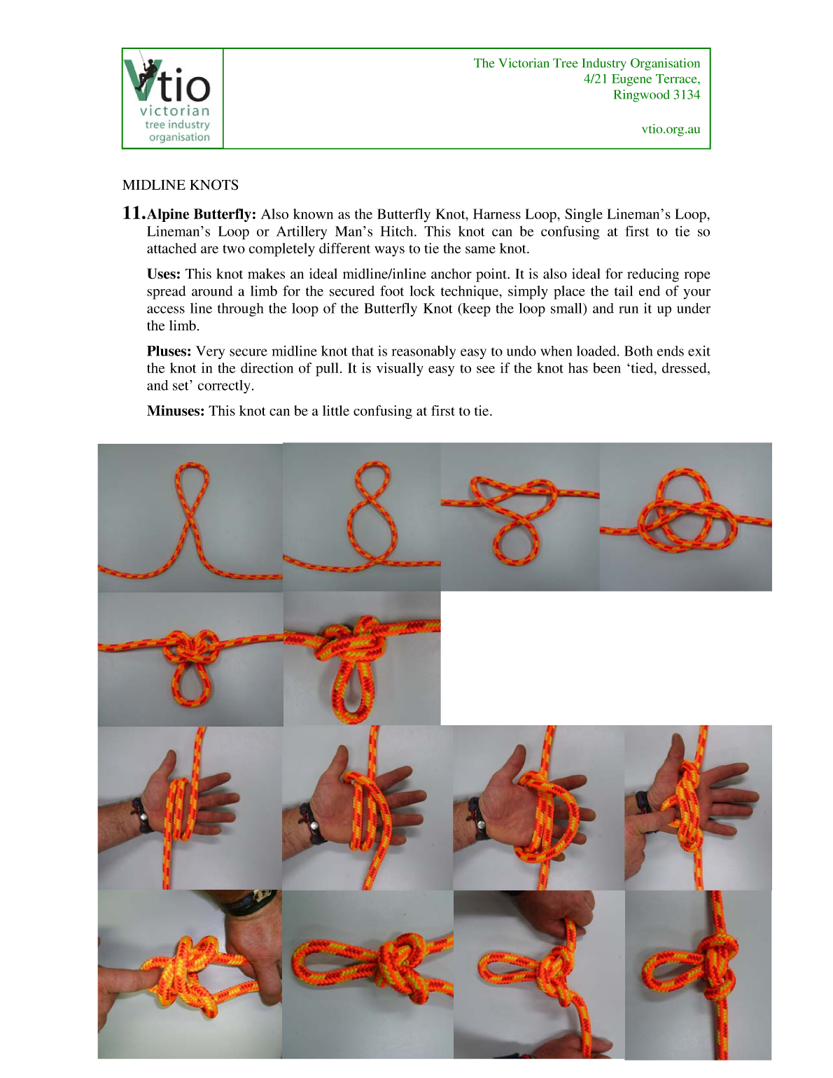 Knots for Arboriculture