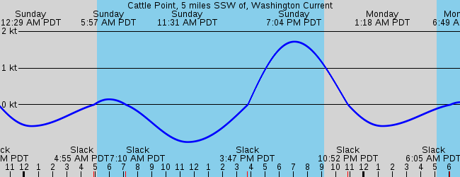 Cattle Point 5 Miles Ssw Of Washington Current